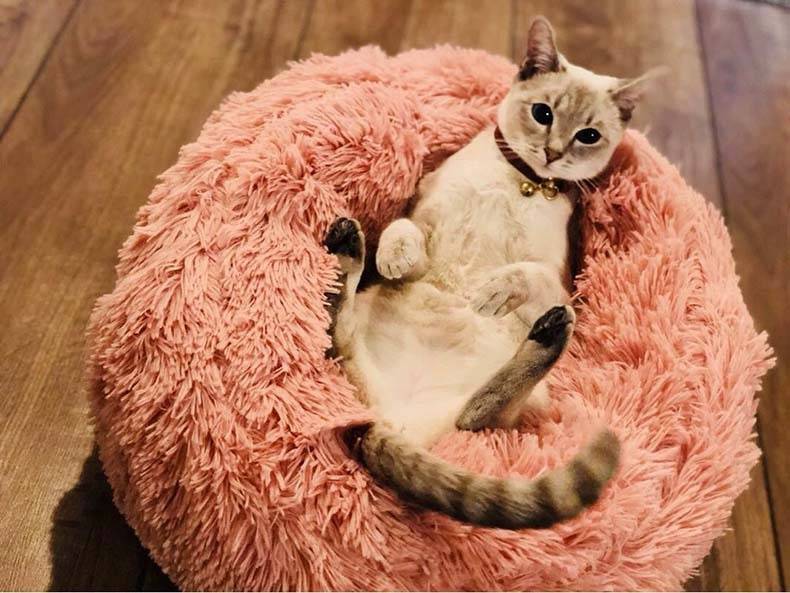 Pet’s Round Shaped Fluffy Bed Best Sellers Cats & Dogs Pet Beds, Mats & Houses