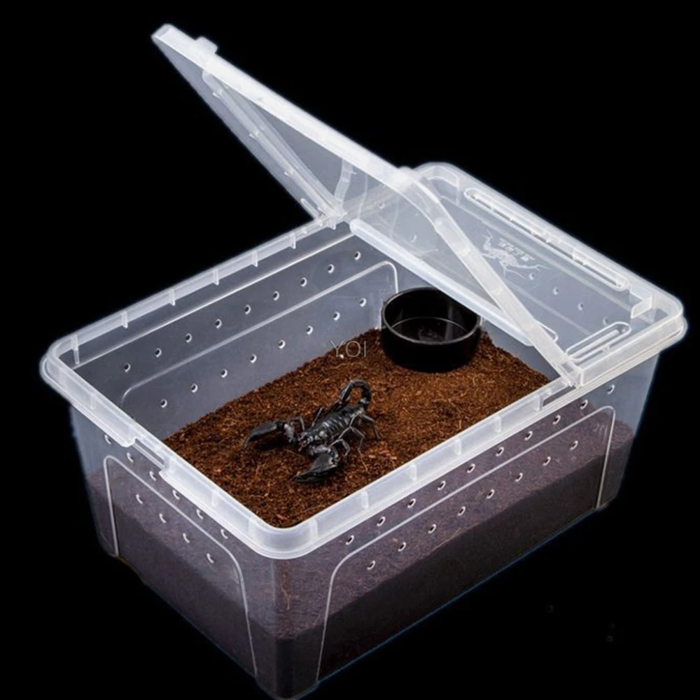 Terrarium Transparent Plastic Box New Arrivals Reptiles & Amphibians Terrariums 