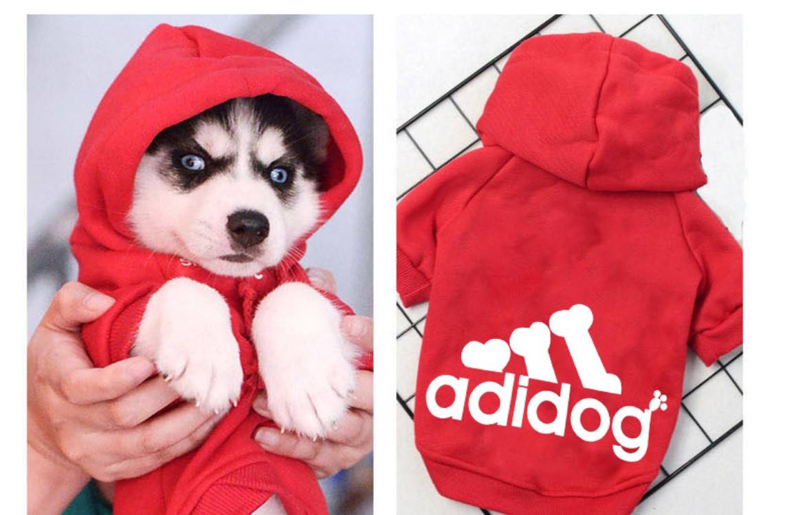 Dog's Sports Hoodie