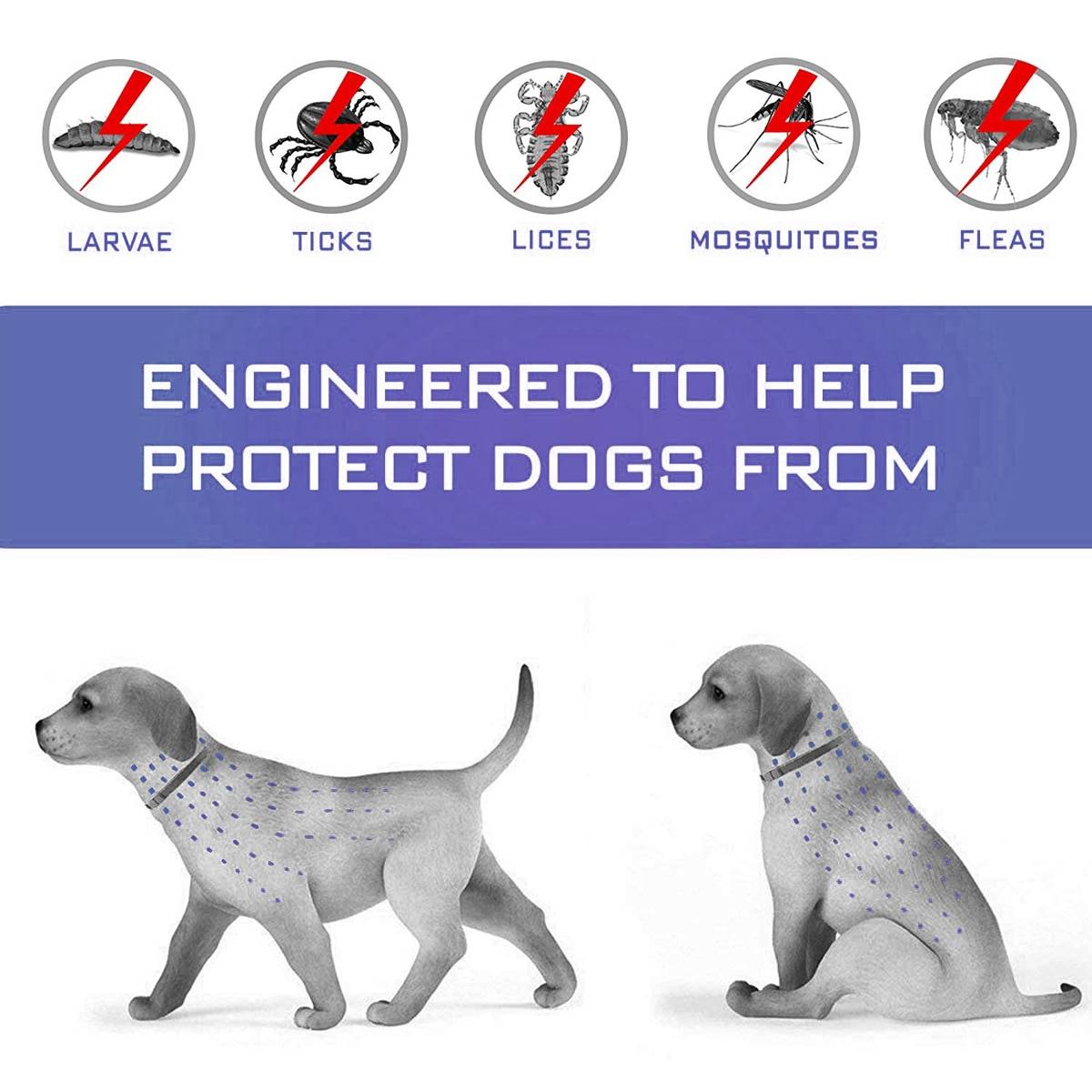 Anti Flea Ticks Waterproof Long Collar Anti Flea Ticks Waterproof Long Collar
