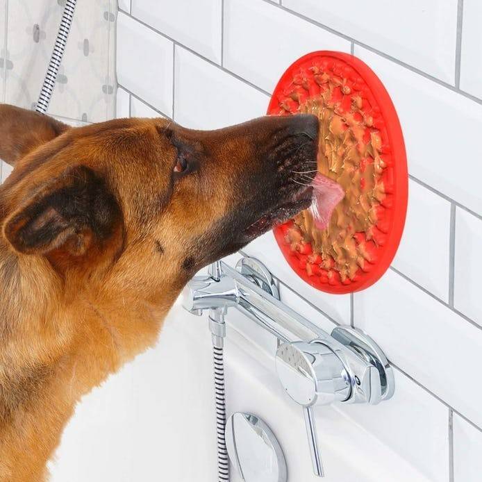 Slow Feeder Dog Mat