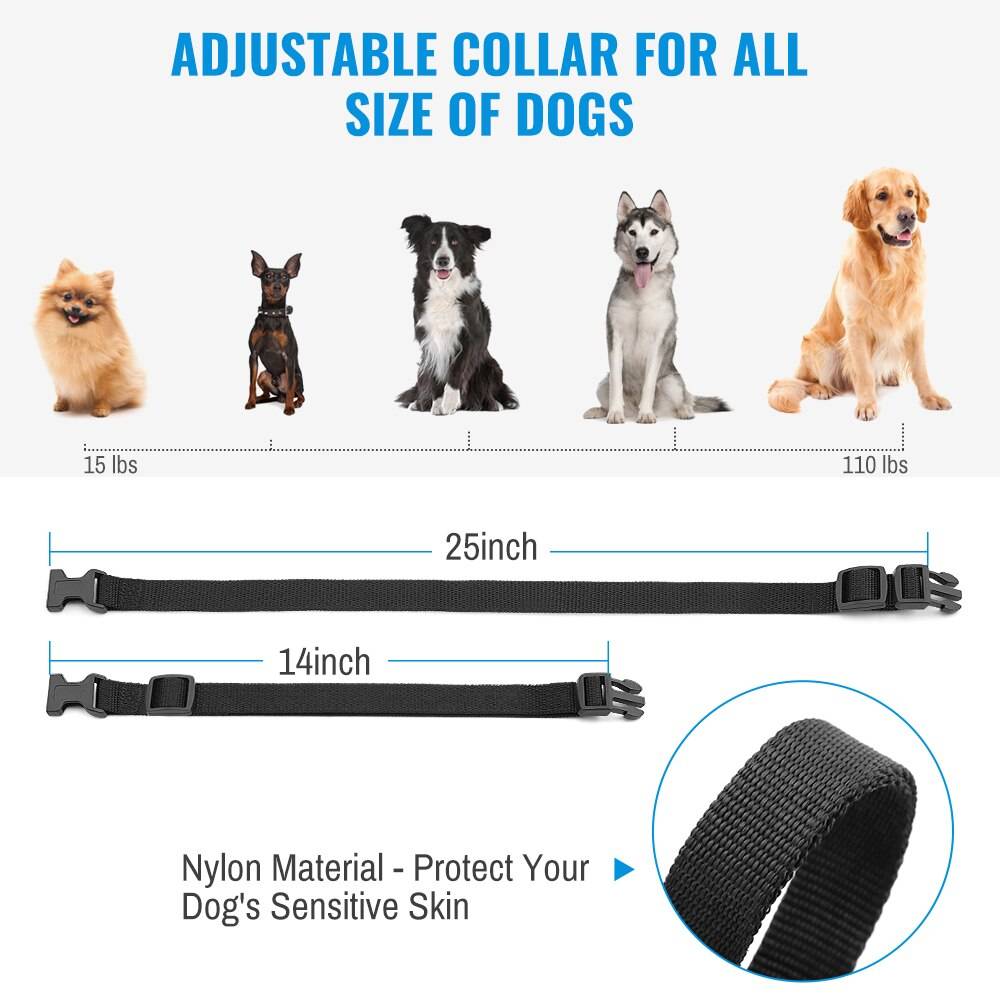 Petrainer Remote Electric Rainproof Dog Training Collar With LCD Display Petrainer Remote Electric Rainproof Dog Training Collar With LCD Display