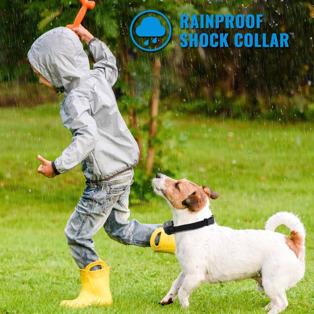 Petrainer Remote Electric Rainproof Dog Training Collar With LCD Display Petrainer Remote Electric Rainproof Dog Training Collar With LCD Display