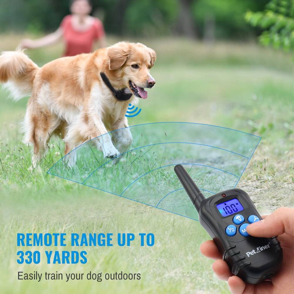 Petrainer Remote Electric Rainproof Dog Training Collar With LCD Display Petrainer Remote Electric Rainproof Dog Training Collar With LCD Display