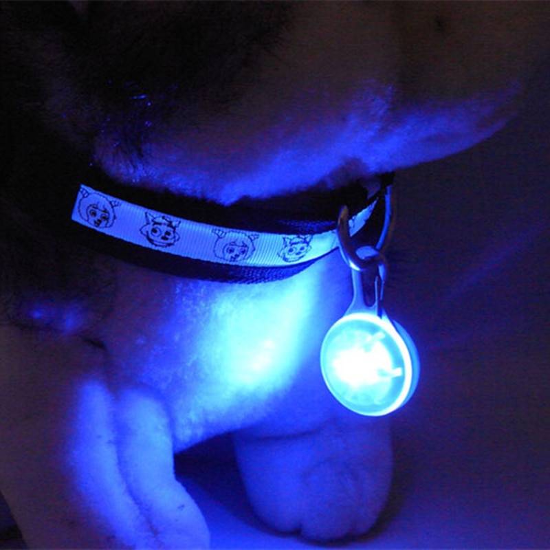 LED Collar Pendant for Dogs LED Collar Pendant for Dogs