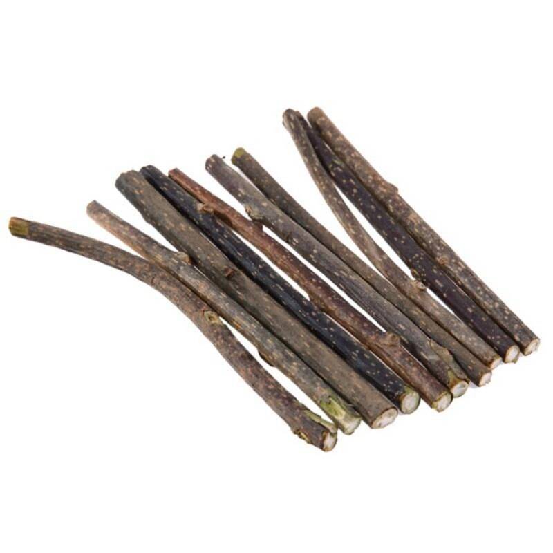 Natural Catnip Toothbrush Sticks 10 Pcs Set