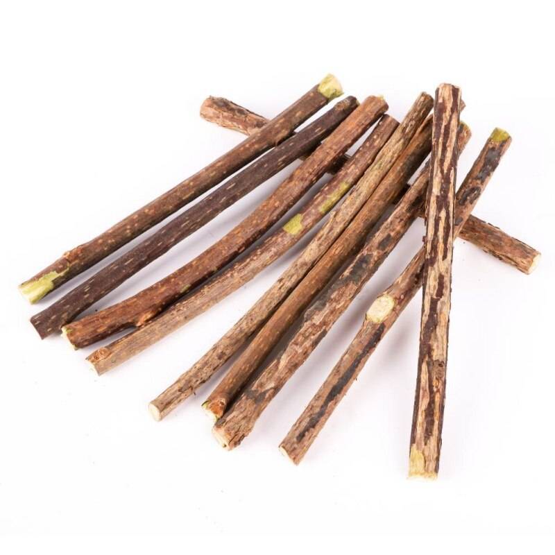 Natural Catnip Toothbrush Sticks 10 Pcs Set