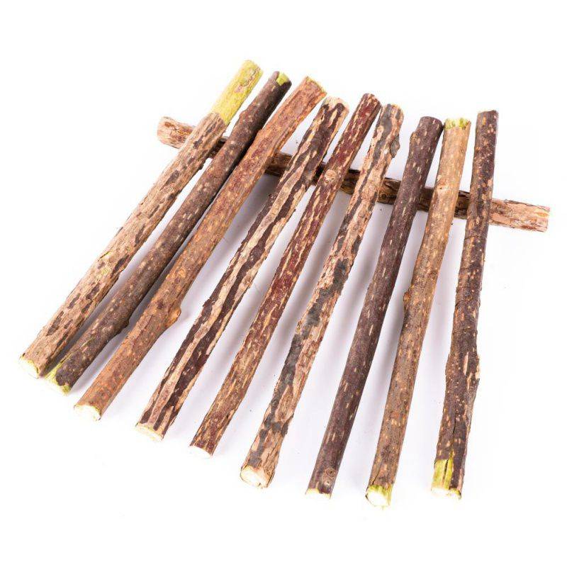 Natural Catnip Toothbrush Sticks 10 Pcs Set