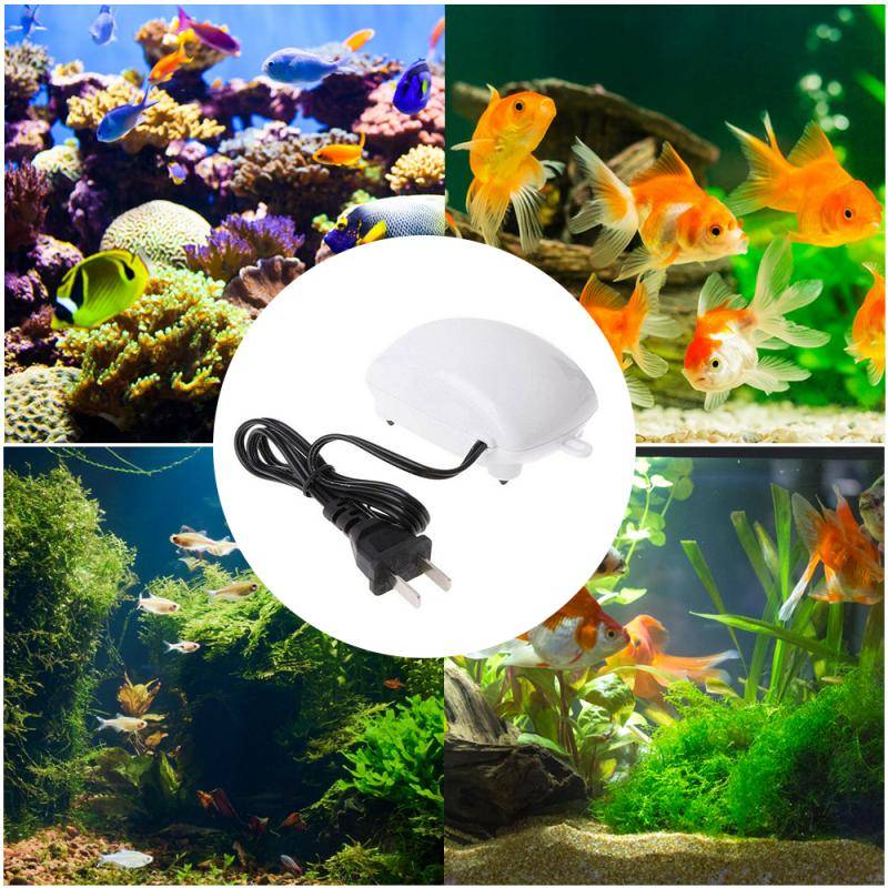 Silent Oxygen Aerator Silent Oxygen Aerator