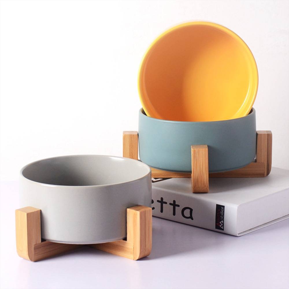 Ceramic Elevated Bowl for Pets