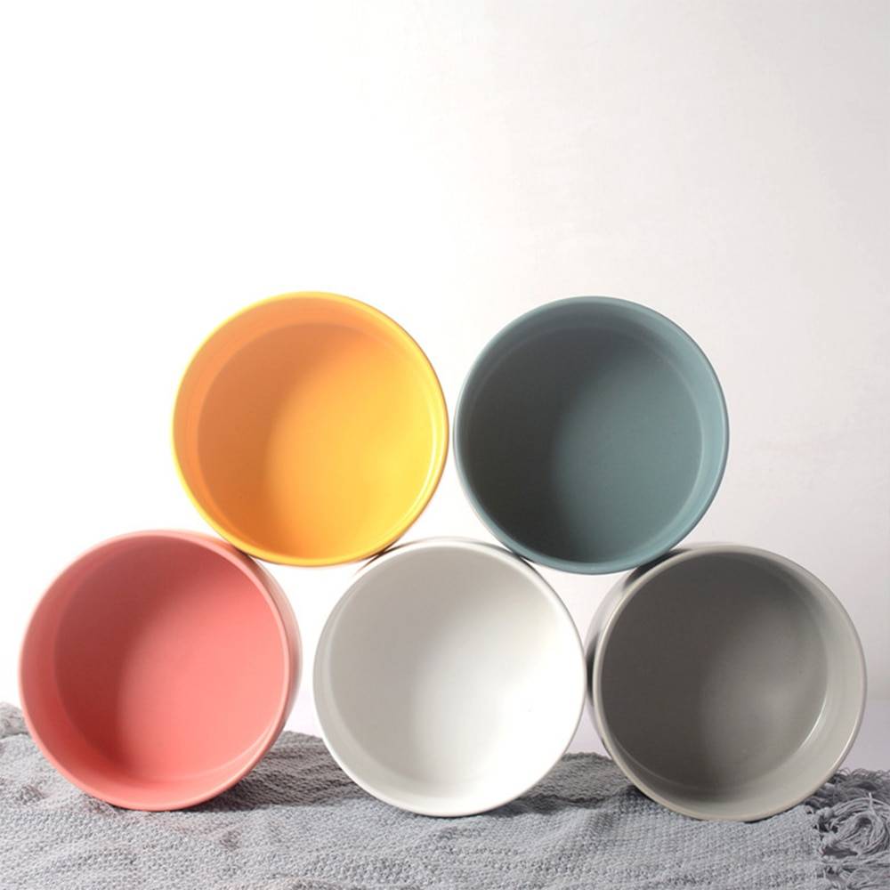 Ceramic Elevated Bowl for Pets
