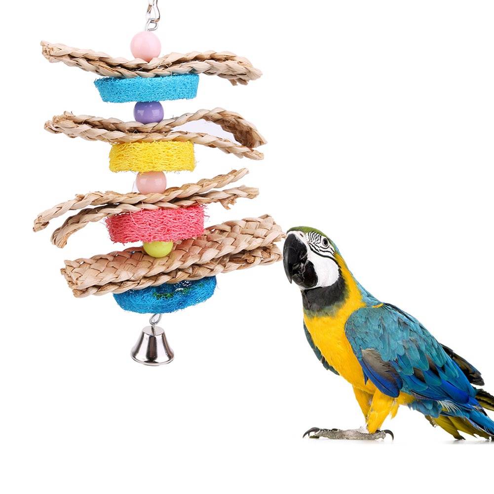 Colorful Wooden Toy for Parrots