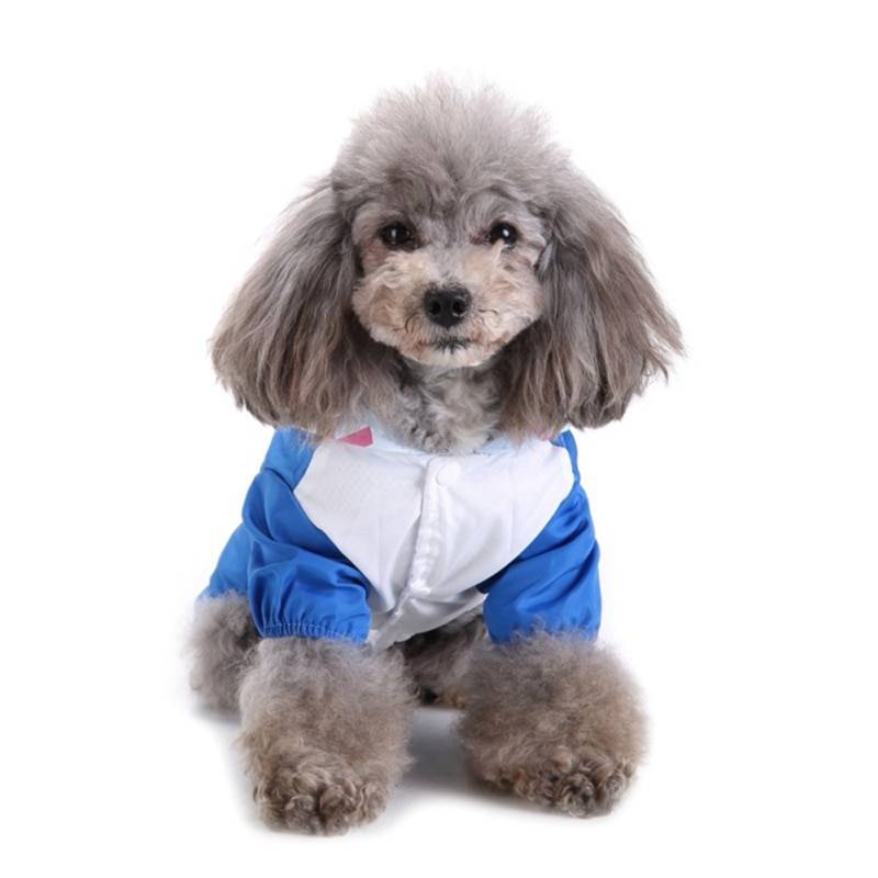 Colorful Animal Shaped Summer Raincoat for Small and Large Dog