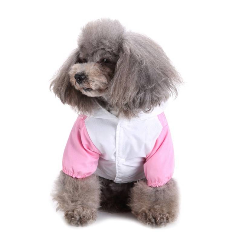 Colorful Animal Shaped Summer Raincoat for Small and Large Dog