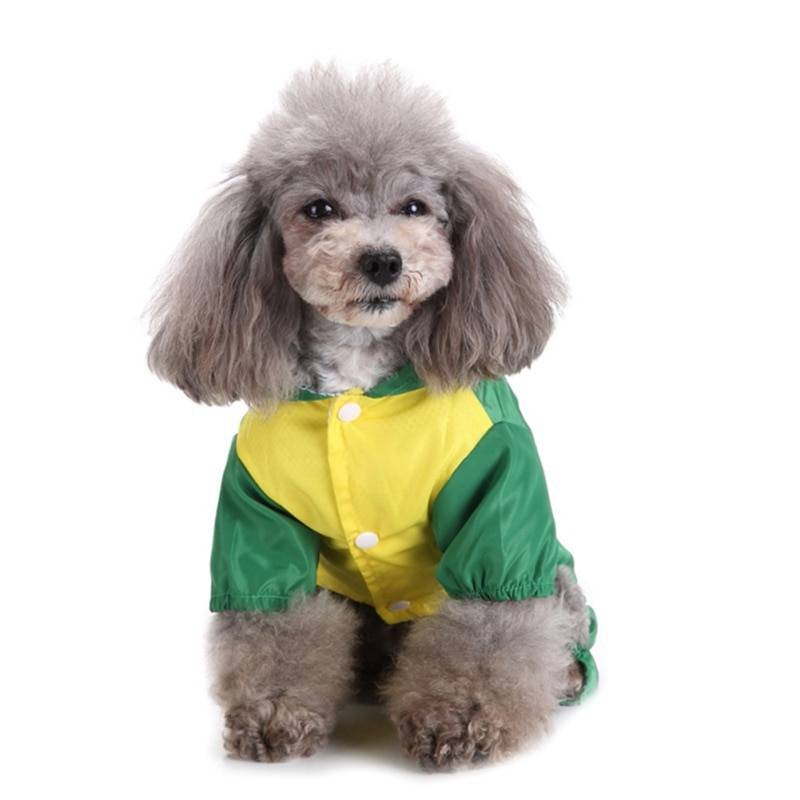 Colorful Animal Shaped Summer Raincoat for Small and Large Dog