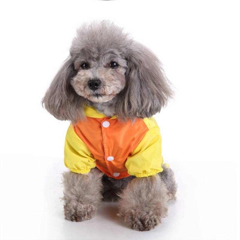 Colorful Animal Shaped Summer Raincoat for Small and Large Dog
