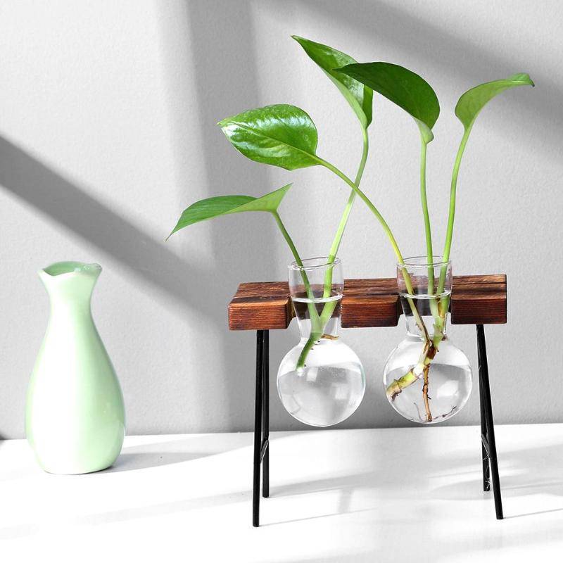Transparent Wooden Plant Terrarium