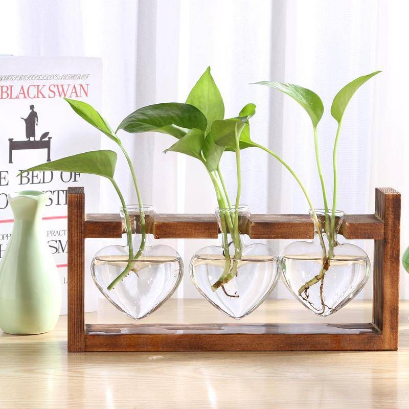 Transparent Wooden Plant Terrarium