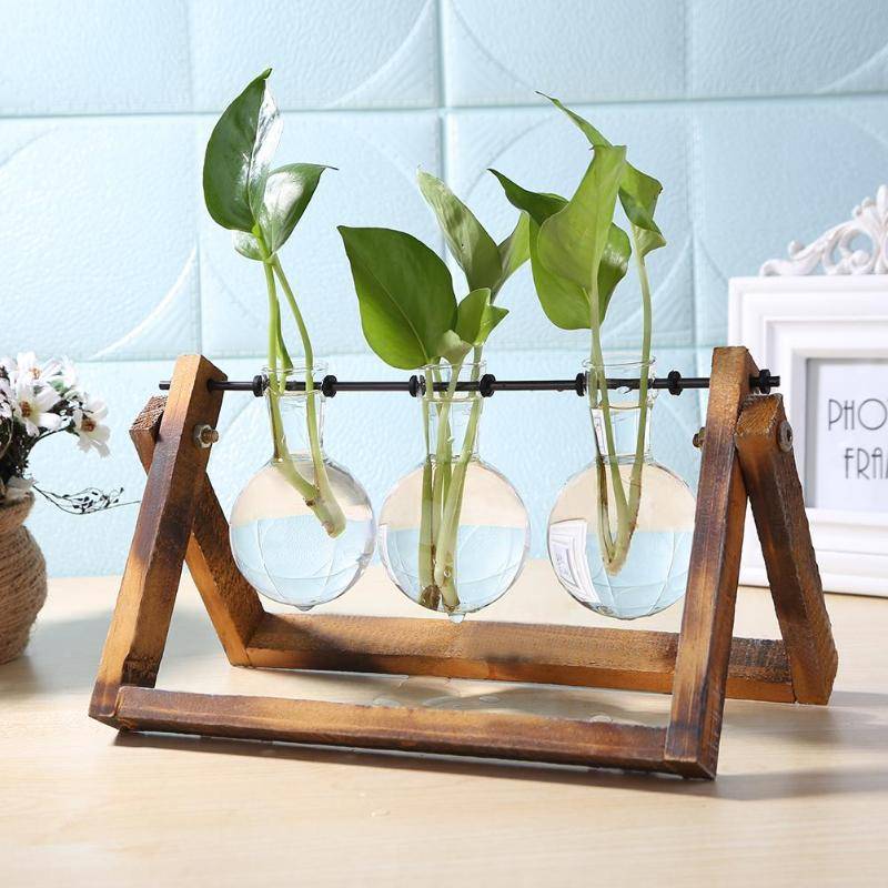 Transparent Wooden Plant Terrarium