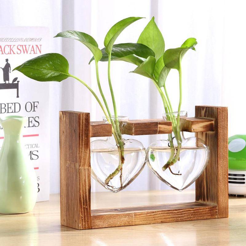 Transparent Wooden Plant Terrarium