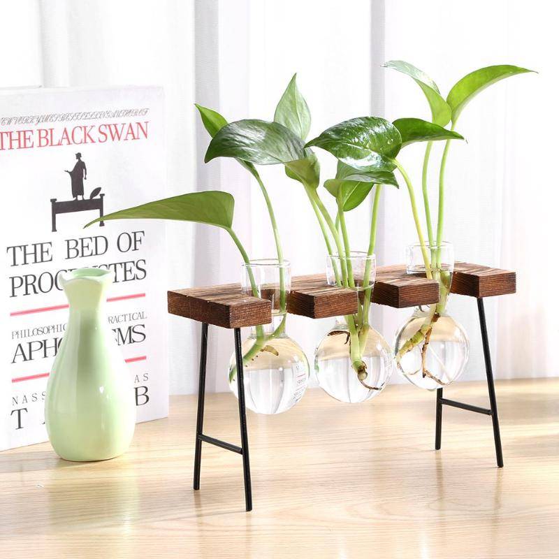 Transparent Wooden Plant Terrarium