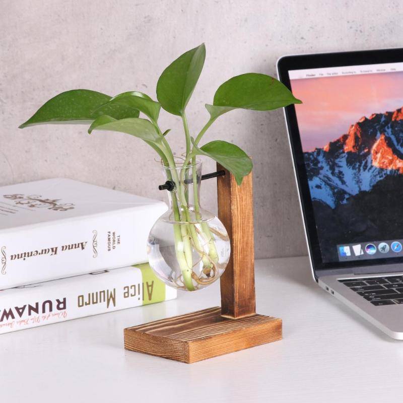 Transparent Wooden Plant Terrarium
