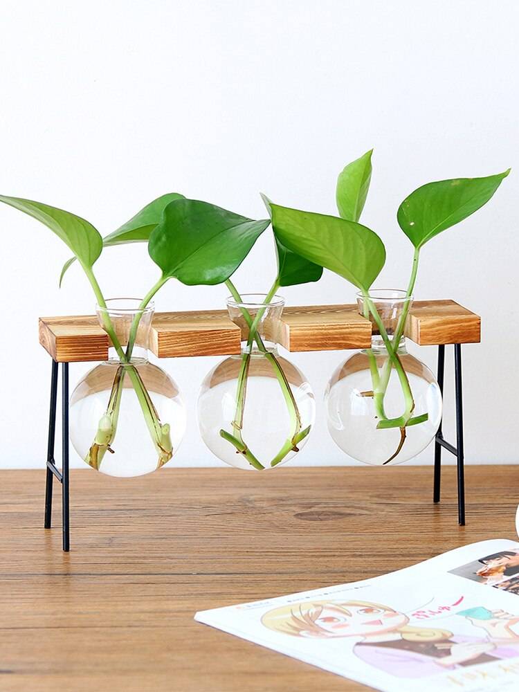 Terrarium Creative Hydroponic Plant Transparent Vase Wooden Frame vase decoratio Glass Tabletop Plant Bonsai Decor Flower Vase