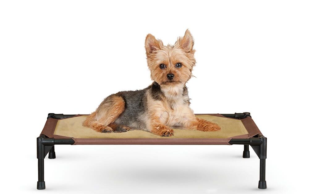 Comfy Pet Cot