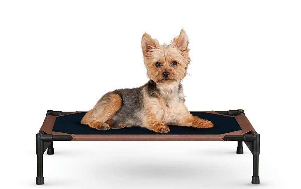 Pet Cot