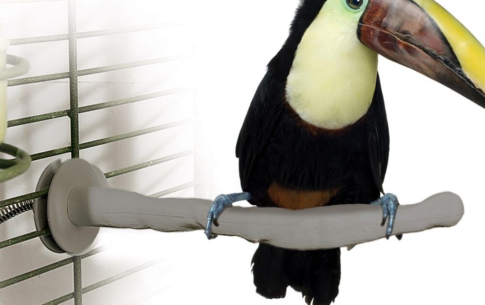 Bird Thermo-Perch