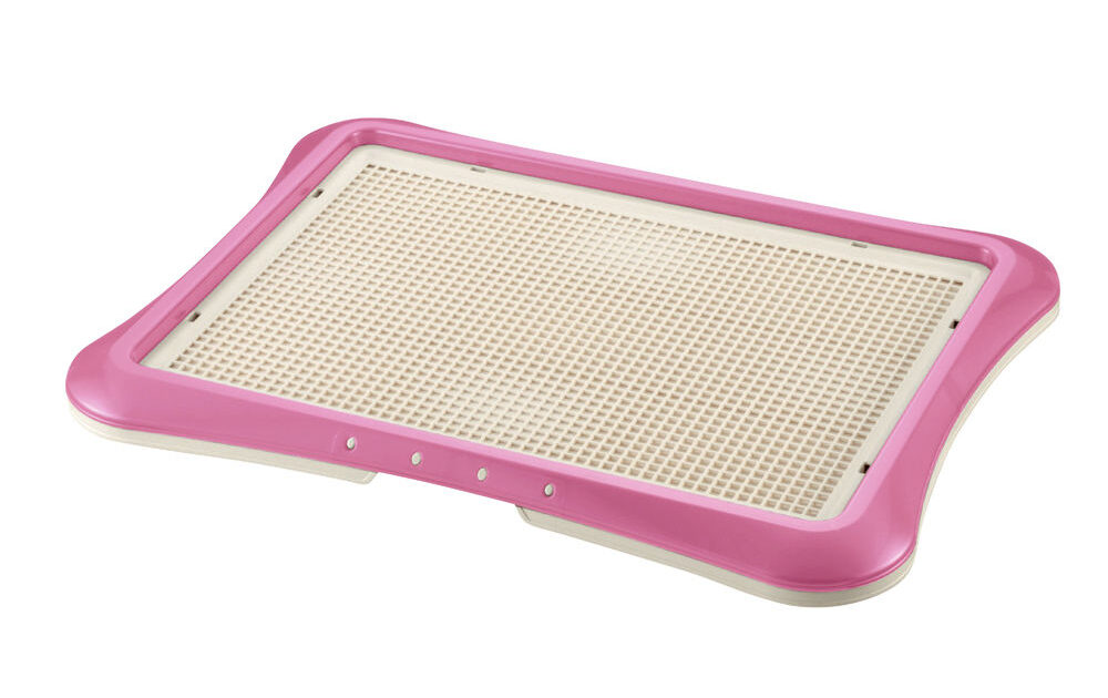Paw Trax Mesh Training Tray